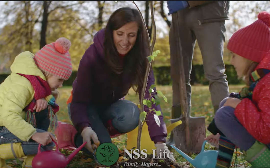 NSS Life “Helping Families” 2017